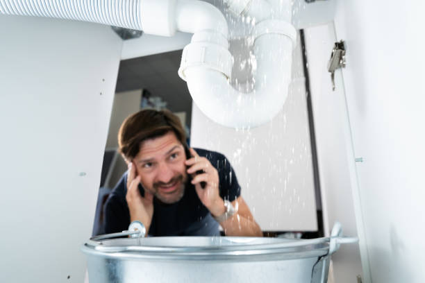 Best Water Leak Repair  in Harlem Heights, FL